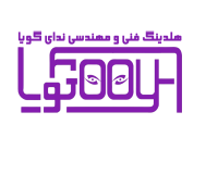 هلدینگ
